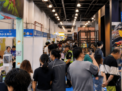 2026上海龟谷展圆满落幕：三思携“原态感”陶瓷智能爬宠灯，跨界引领科学养宠新纪元